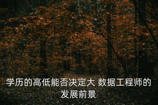 學(xué)歷的高低能否決定大 數(shù)據(jù)工程師的發(fā)展前景