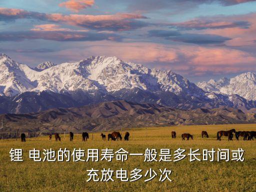 鋰 電池的使用壽命一般是多長(zhǎng)時(shí)間或 充放電多少次