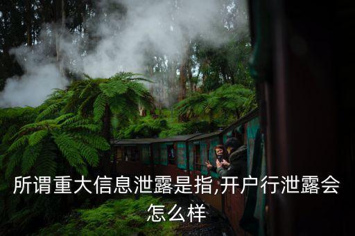 所謂重大信息泄露是指,開戶行泄露會怎么樣