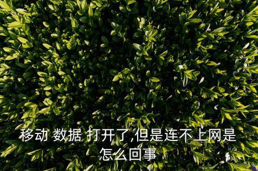移動(dòng) 數(shù)據(jù) 打開了,但是連不上網(wǎng)是怎么回事