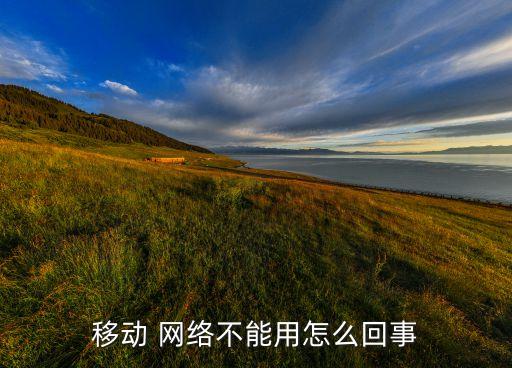 移動(dòng) 網(wǎng)絡(luò)不能用怎么回事