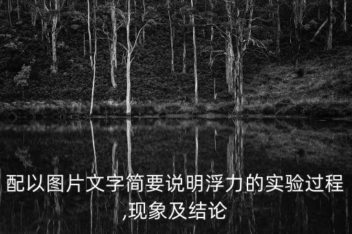 配以圖片文字簡(jiǎn)要說明浮力的實(shí)驗(yàn)過程,現(xiàn)象及結(jié)論