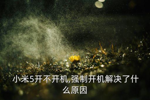  小米5開不開機(jī),強(qiáng)制開機(jī)解決了什么原因