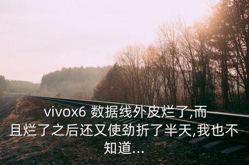  vivox6 數(shù)據(jù)線外皮爛了,而且爛了之后還又使勁折了半天,我也不知道...