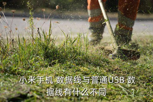 小米5數(shù)據(jù)線樣子的,小米11原裝數(shù)據(jù)線是幾A