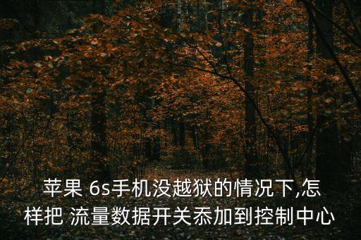 蘋果6s關(guān)閉數(shù)據(jù)流量監(jiān)控