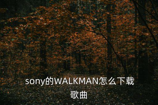  sony的WALKMAN怎么下載歌曲