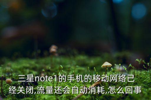  三星note1的手機(jī)的移動(dòng)網(wǎng)絡(luò)已經(jīng)關(guān)閉,流量還會(huì)自動(dòng)消耗,怎么回事