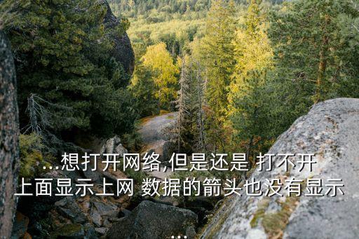 ...想打開網(wǎng)絡,但是還是 打不開上面顯示上網(wǎng) 數(shù)據(jù)的箭頭也沒有顯示...