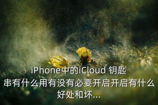 ios 保存數(shù)據(jù)到鑰匙串