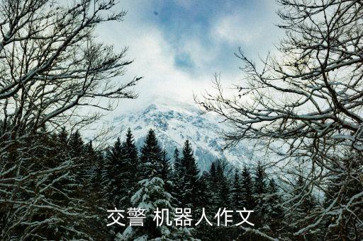 警察機(jī)器人是怎么