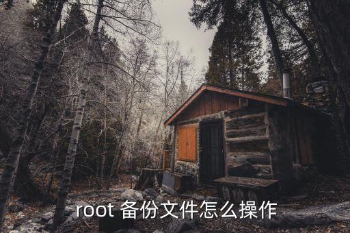  root 備份文件怎么操作