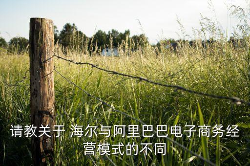 請教關(guān)于 海爾與阿里巴巴電子商務(wù)經(jīng)營模式的不同