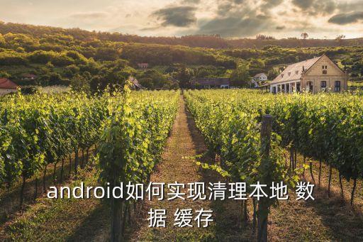 android如何實(shí)現(xiàn)清理本地 數(shù)據(jù) 緩存