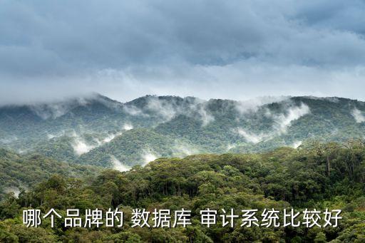 哪個品牌的 數(shù)據(jù)庫 審計系統(tǒng)比較好
