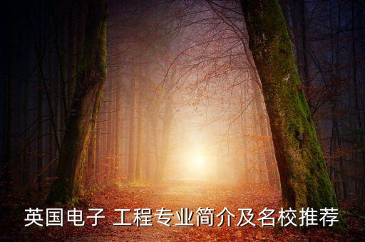 南安普頓大學(xué)的機(jī)器人工程