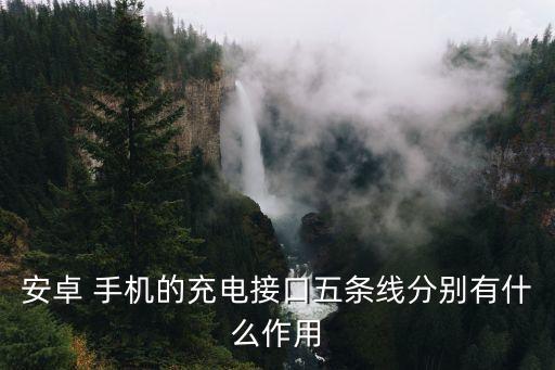 手機(jī)數(shù)據(jù)線哪條是地線