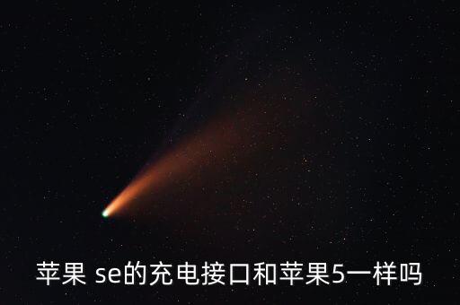 蘋果 se的充電接口和蘋果5一樣嗎