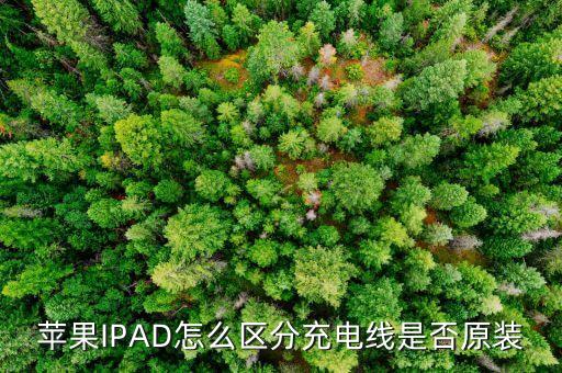 蘋果IPAD怎么區(qū)分充電線是否原裝