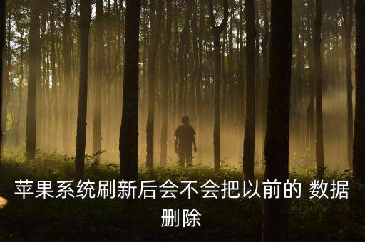 蘋果系統(tǒng)刷新后會不會把以前的 數(shù)據(jù)刪除