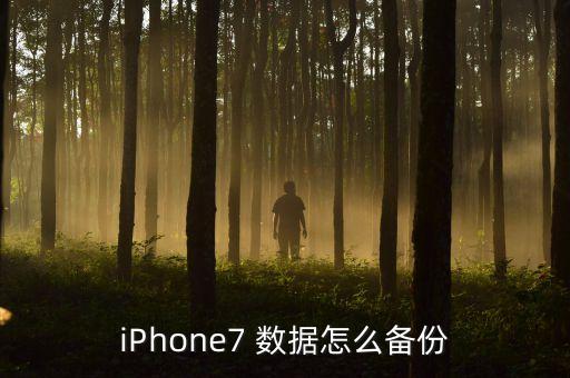 iPhone7 數(shù)據(jù)怎么備份