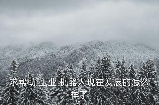 求幫助 工業(yè) 機(jī)器人現(xiàn)在發(fā)展的怎么樣了