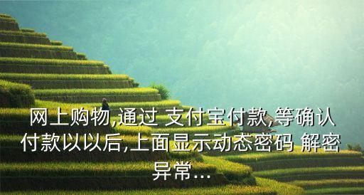 網(wǎng)上購(gòu)物,通過(guò) 支付寶付款,等確認(rèn)付款以以后,上面顯示動(dòng)態(tài)密碼 解密異常...