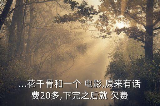 ...花千骨和一個(gè) 電影,原來有話費(fèi)20多,下完之后就 欠費(fèi)