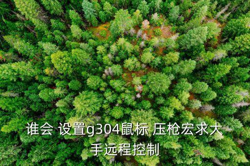 誰會 設置g304鼠標 壓槍宏求大手遠程控制