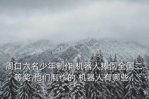 周口六名少年制作 機器人捧回全國二等獎,他們制作的 機器人有哪些...