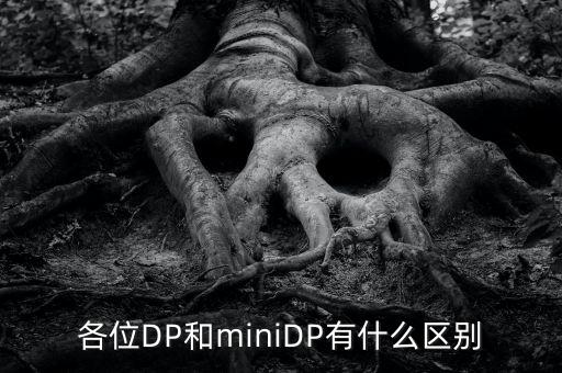 dp 各版本數(shù)據(jù)線區(qū)別,dp版本1.1和1.2有什么區(qū)別