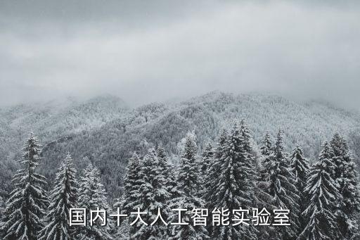 機(jī)器人 atlas 中國,atlas機(jī)器人ppt
