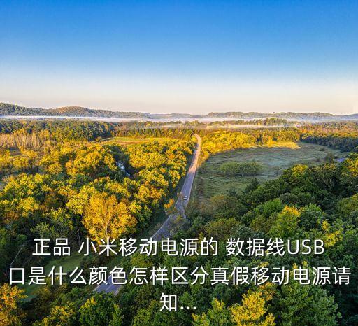 正品 小米移動電源的 數(shù)據(jù)線USB口是什么顏色怎樣區(qū)分真假移動電源請知...