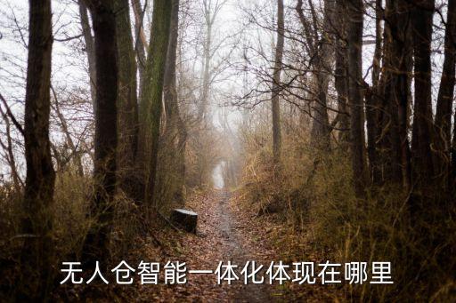 無人倉智能一體化體現(xiàn)在哪里