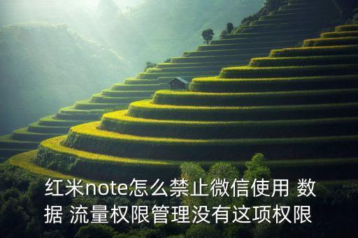  紅米note怎么禁止微信使用 數(shù)據(jù) 流量權(quán)限管理沒(méi)有這項(xiàng)權(quán)限
