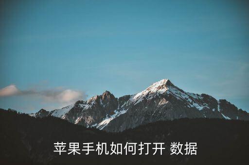 蘋果怎么設(shè)置使用數(shù)據(jù)
