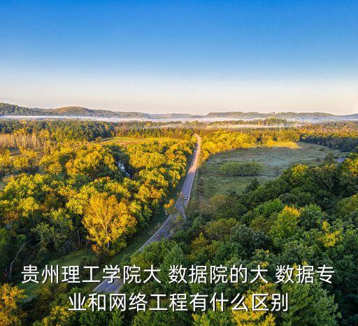 貴州理工學(xué)院大 數(shù)據(jù)院的大 數(shù)據(jù)專業(yè)和網(wǎng)絡(luò)工程有什么區(qū)別