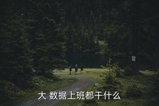 大數(shù)據(jù)方面的工作,和大數(shù)據(jù)有關的工作