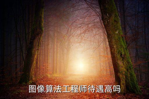 圖像算法工程師待遇高嗎