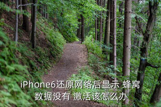 iPhone6還原網(wǎng)絡(luò)后顯示 蜂窩 數(shù)據(jù)沒有 激活該怎么辦