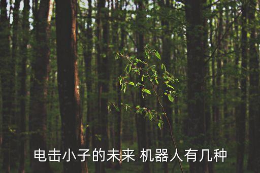 老鼠級(jí)智能機(jī)器人,老鼠智能機(jī)器人大掃除動(dòng)畫片