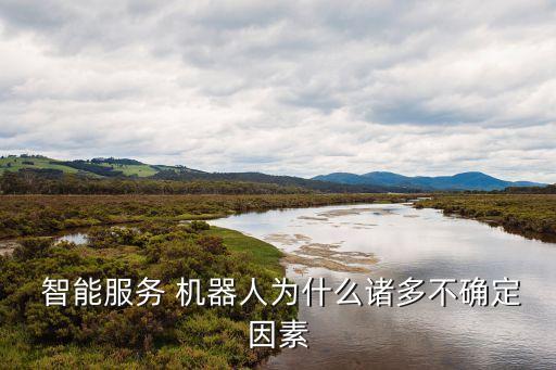  智能服務(wù) 機器人為什么諸多不確定因素