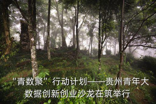 “青數(shù)聚”行動計劃——貴州青年大 數(shù)據(jù)創(chuàng)新創(chuàng)業(yè)沙龍在筑舉行