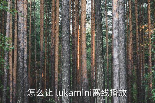 怎么讓 lukamini離線播放
