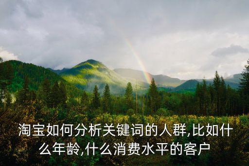  淘寶如何分析關(guān)鍵詞的人群,比如什么年齡,什么消費(fèi)水平的客戶