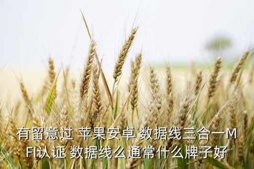 有留意過 蘋果安卓 數(shù)據(jù)線三合一MFI認(rèn)證 數(shù)據(jù)線么通常什么牌子好