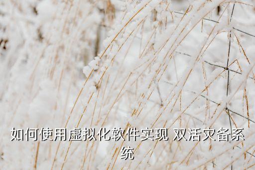 如何使用虛擬化軟件實(shí)現(xiàn) 雙活災(zāi)備系統(tǒng)