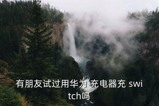 有朋友試過用華為 充電器充 switch嗎
