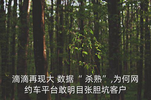 滴滴再現(xiàn)大 數(shù)據(jù)“ 殺熟”,為何網(wǎng)約車(chē)平臺(tái)敢明目張膽坑客戶