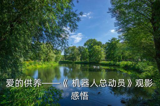 看機(jī)器人感想,機(jī)器人感想作文400字